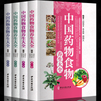 惠典正版SST中国药物食物养生大全 彩图版全4册精装中医书中草药养生保健书籍 食物养生药食同源养生之道 食疗