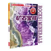 惠典正版发现更多9+--矿石宝藏