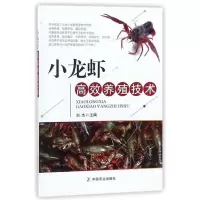 惠典正版小龙虾高效养殖技术