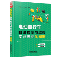 惠典正版电动自行车故障检测与维修实践技能全图解