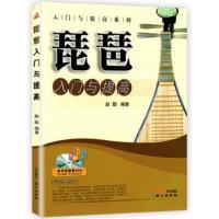 惠典正版 琵琶入门与提高