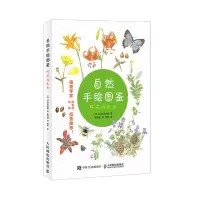惠典正版自然手绘图鉴 野花与昆虫