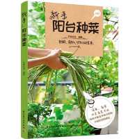 惠典正版正版 新手阳台种菜 30余种蔬菜阳台栽培方法与步骤相关知识 阳台种菜的优点 原则 禁忌 阳台朝向和
