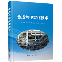 惠典正版正版 合成气甲烷化技术 甲烷化反应热力学和动力学合成气甲烷化催化剂关键技术应用书