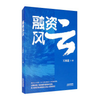 惠典正版融资风云