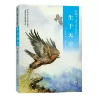 惠典正版椋鸠十动物小说 爱藏本03 生于天空