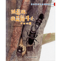 惠典正版别惹我,我是角斗士:甲虫观察幼儿图书 绘本 早教书 儿童书籍 金杏宝