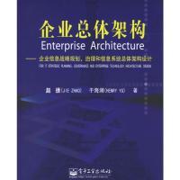 惠典正版企业总体架构:企业信息战略规划治理和信息系统总体架构设计 赵捷,于海澜 9787121028755