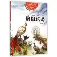 惠典正版杨红樱画本——注音书系列(第二辑)·凤凰选美故事书 儿童书籍 杨红樱