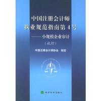 惠典正版中国注册会计师执业规范指南 第4号,小规模企业审计中国注册会计师协会 制定9787505