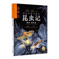 惠典正版写给中国儿童的昆虫记 蝎子、萤火虫幼儿图书 早教书 故事书 儿童书籍 (法)亨利·法布尔