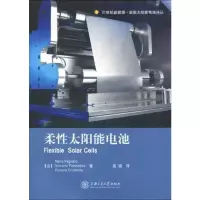 惠典正版柔性太阳能电池Mario Pagliaro