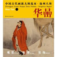 惠典正版中国古代画派大图范本 扬州八怪 华嵒 一 天山积雪图 杨东胜 江西美术出版社