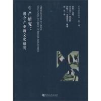 惠典正版生产研究:媒介产业的文化研究 [美] 维奇-迈耶(Vicki Mayer) ;杨光 河南大学出版社