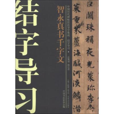 惠典正版智永真书千字文 吴舒舒;许晓俊,袁卫民,中国书法家协会 大众文艺出版社