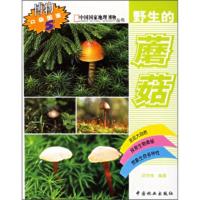 惠典正版野生的蘑菇