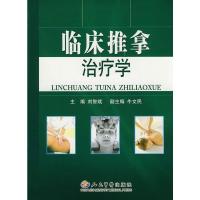 惠典正版中风病中医特色诊疗