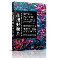 惠典正版拍出好照片:数码相机设置与拍摄全方位解析 史林平,陈磊 人民邮电出版社