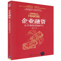 惠典正版企业融资 从天使投资到IPO 天使投资 公开募股流程 股票股权出让出售买卖书籍 天使投资人理财实战