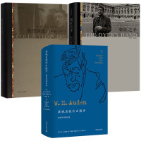 惠典正版奥登文集3册 某晚当我外出散步/奥登诗选1948——1973/染匠之手 文学批评散文作品诗歌全集下卷