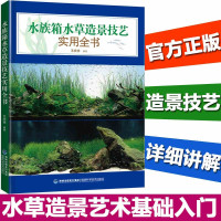 惠典正版水族箱水草造景技艺实用全书 王庆祥 新手学水草造景养水草的族馆装饰水草摆设造型设计 家居 家庭