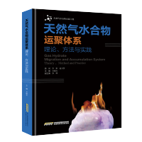 惠典正版天然气水合物运聚体系理论方法与实践 吴能友 天然气水合物 潜在替代性能源 工业技术 石油天然气工业书