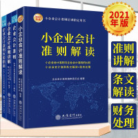 惠典正版会计准则解读指南4册 小企业会计准则解读/企业会计准则/小企业会计准则讲解2021版等 会计培训用书