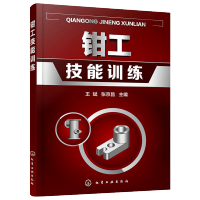 惠典正版 钳工技能训练 划线錾削锯削锉削孔加工工艺制定尺寸链测量简单热处理钳工锉配钳工技术操作一本通 钳工