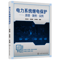 惠典正版电力继电保护原理算例实例 继电保护整定计算工作流程方法教程书 高压馈线变压器电动机低压回路计算
