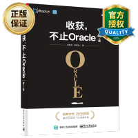 惠典正版 收获不止Oracle 第2版 sql数据库书籍 sql优化方法改写技巧 sql数据库优化教程书籍