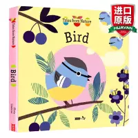 惠典正版英文原版 鸟 来自大自然的故事绘本 Bird Tales from Nature 亲子互动图画故事书