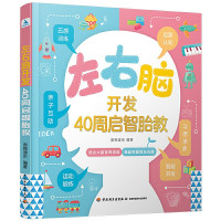 惠典正版左右脑开发 40周启智胎教结合人体脑部特点安排孕期每月胎教内容突出左右脑不同功能训练促进胎宝宝大脑更