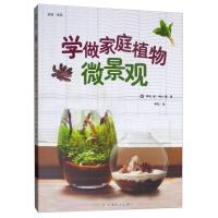 惠典正版正版学做家庭植物微景观 美植·美家 养花的书花园设计装修教程 花卉植物绿化植盆栽造景设计私家庭院室内