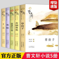 惠典正版正版全5册曹文轩小说阅读与鉴赏草房子和青铜葵花6-12岁曹文轩系列儿童文学纯美小说小学生一二三年级