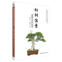 惠典正版柏树盆景造型与养护技艺