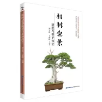 惠典正版柏树盆景造型与养护技艺
