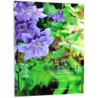 惠典正版 铁线莲栽培入门 家庭园艺