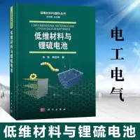 惠典正版低维材料与锂硫电池 电工电气