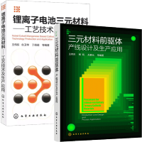 惠典正版三元材料前驱体 产线设计及生产应用+锂离子电池三元材料 工艺技术及生产应用