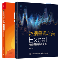 惠典正版数据呈现之美Excel商务图表实战大全+PPT之光 三个维度打造PPT PPT策划视觉设计演讲指南