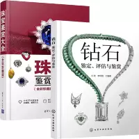 惠典正版钻石 鉴定评估与鉴赏+珠宝鉴赏大全 珠宝首饰鉴赏 珠宝玉石选购鉴别方法 宝石鉴定入门书