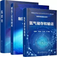 惠典正版 氢气储存和输运+氢安全+制氢工艺与技术 氢能利用关键技术系列
