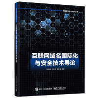 惠典正版互联网域名国际化与安全技术导论 电子社IDNA的表情符号中文域名解析机制国际化电子邮件地址技术域名