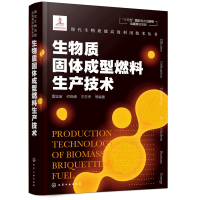 惠典正版 现代生物质能高效利用技术丛书 生物质固体成型燃料生产技术