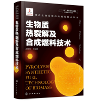 惠典正版现代生物质能高效利用技术丛书 生物质热裂解及合成燃料技术 生物质热裂解气化液化炭化工艺及主要设备生