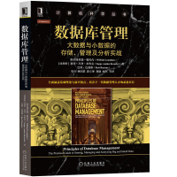 惠典正版 数据库管理:大数据与小数据的存储、管理及分析实战 解数据库设计 建模书籍