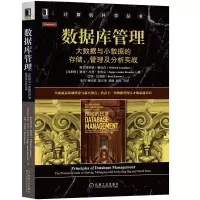 惠典正版 数据库管理:大数据与小数据的存储、管理及分析实战 解数据库设计 建模书籍
