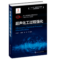 惠典正版 超声化工过程强化 吕效平 丁德胜 张萍著 化工过程强化关键技术丛书