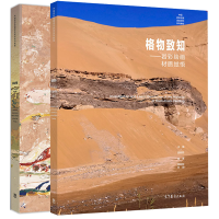 惠典正版 似与不似 岩彩绘画写生课程+格物致知 岩彩绘画材质觉悟 共2本 岩彩画创作思路书高等教育出版社