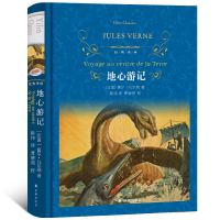 惠典正版经典译林/地心游记 (法)儒尔·凡尔纳(Jules Verne) 著;陈伟 译 世界名著文学 新华书店正版图书籍